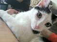 IMG_3485 IMG_3485